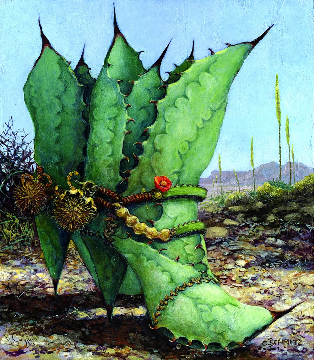 Agave Country Print
