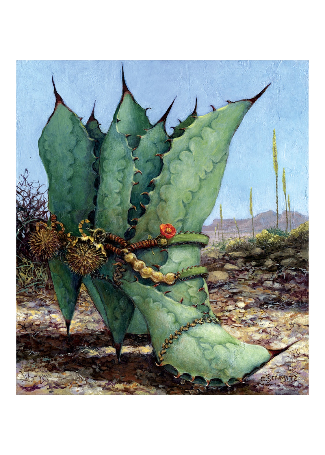 Agave Country.