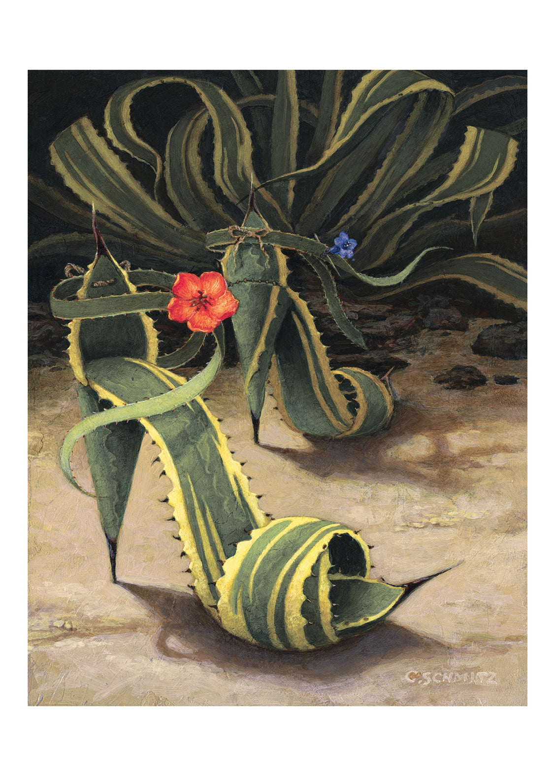 Agave Spikes.