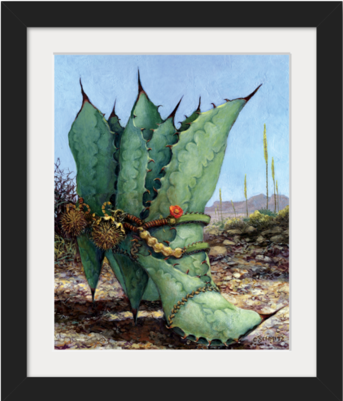 Agave Country Print