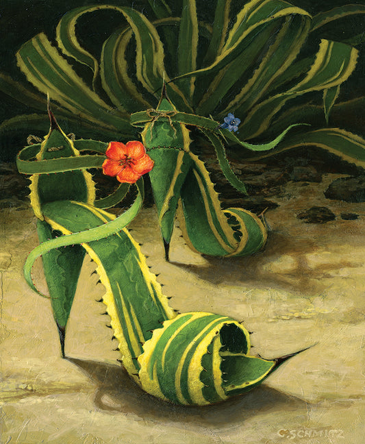 Agave Spikes Print
