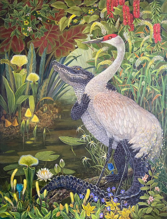 alligator wih sandhill crane