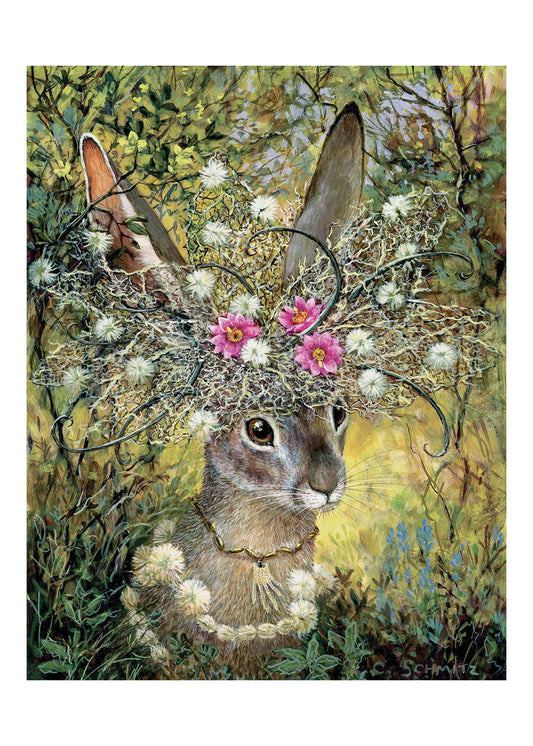 jackrabbit with mammilaria cactus flowers and devil's claw