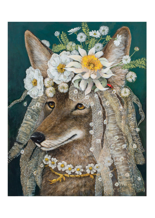coyote with apache jumping spider and snakeskin
