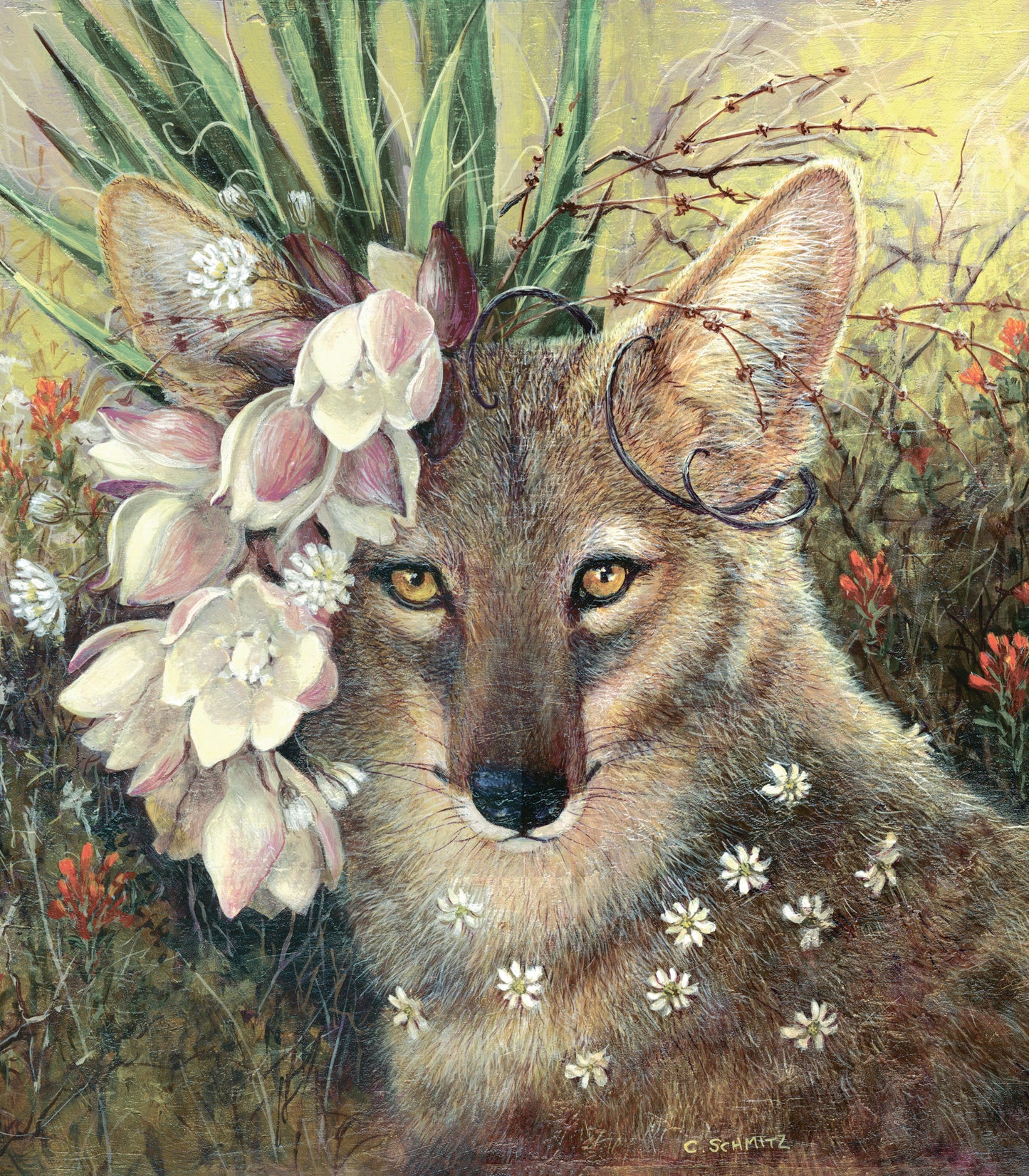 Death Valley Beauty Print
