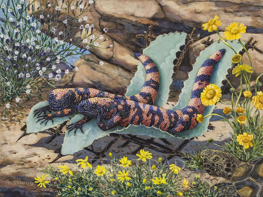 Desert Recliners Print