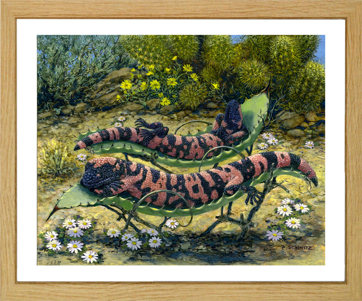 Desert Stars Print