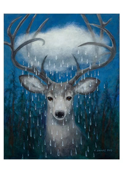 Forest Rain.