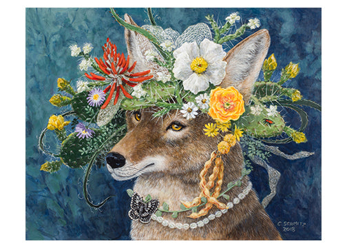 coyote with Blackfoot Daisies, Southwest Coral Bean, Prickly Poppy, yucca blooms