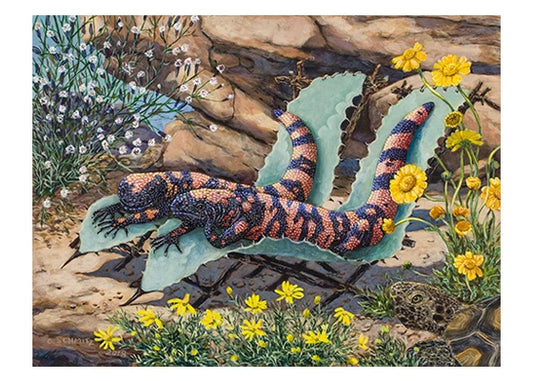 gila monsters and desert tortoise