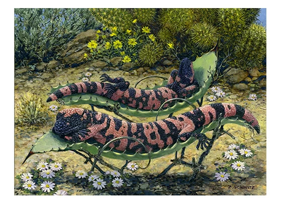 gila monsters