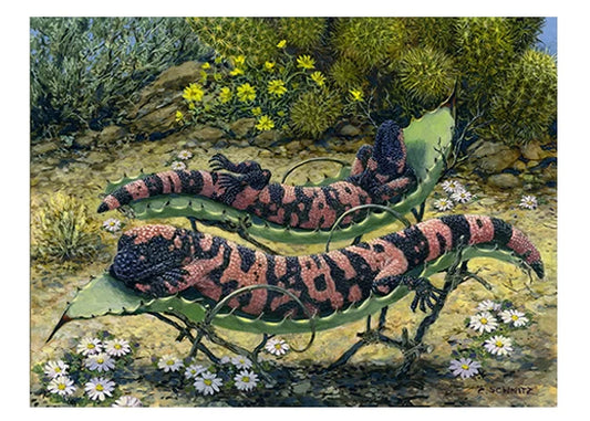 gila monsters