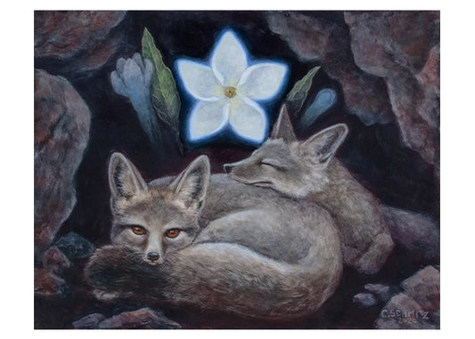 two kit foxes sleeping in a cave