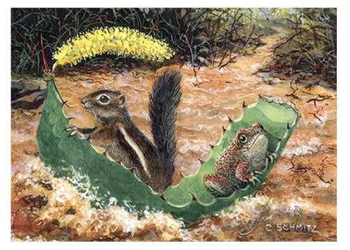 A Red-Spotted Toad and a Harris’ Antelope Squirrel
