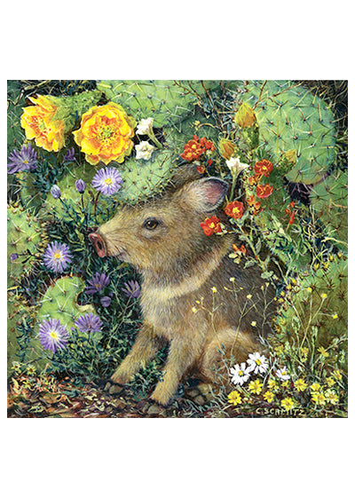 baby javelina under prickly pear