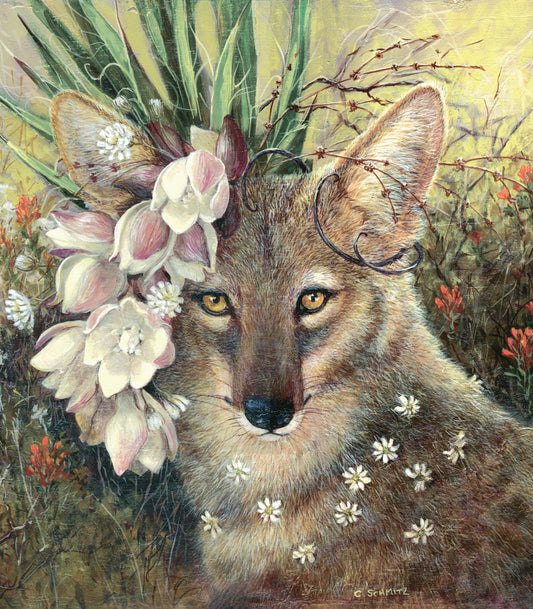 Death Valley Beauty Print