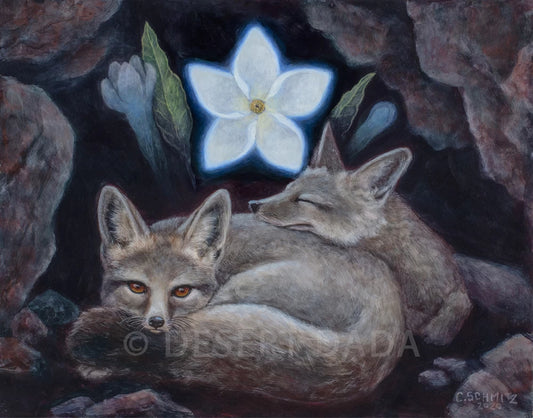 Foxes Dreaming of the Vanishing Blue Star Print